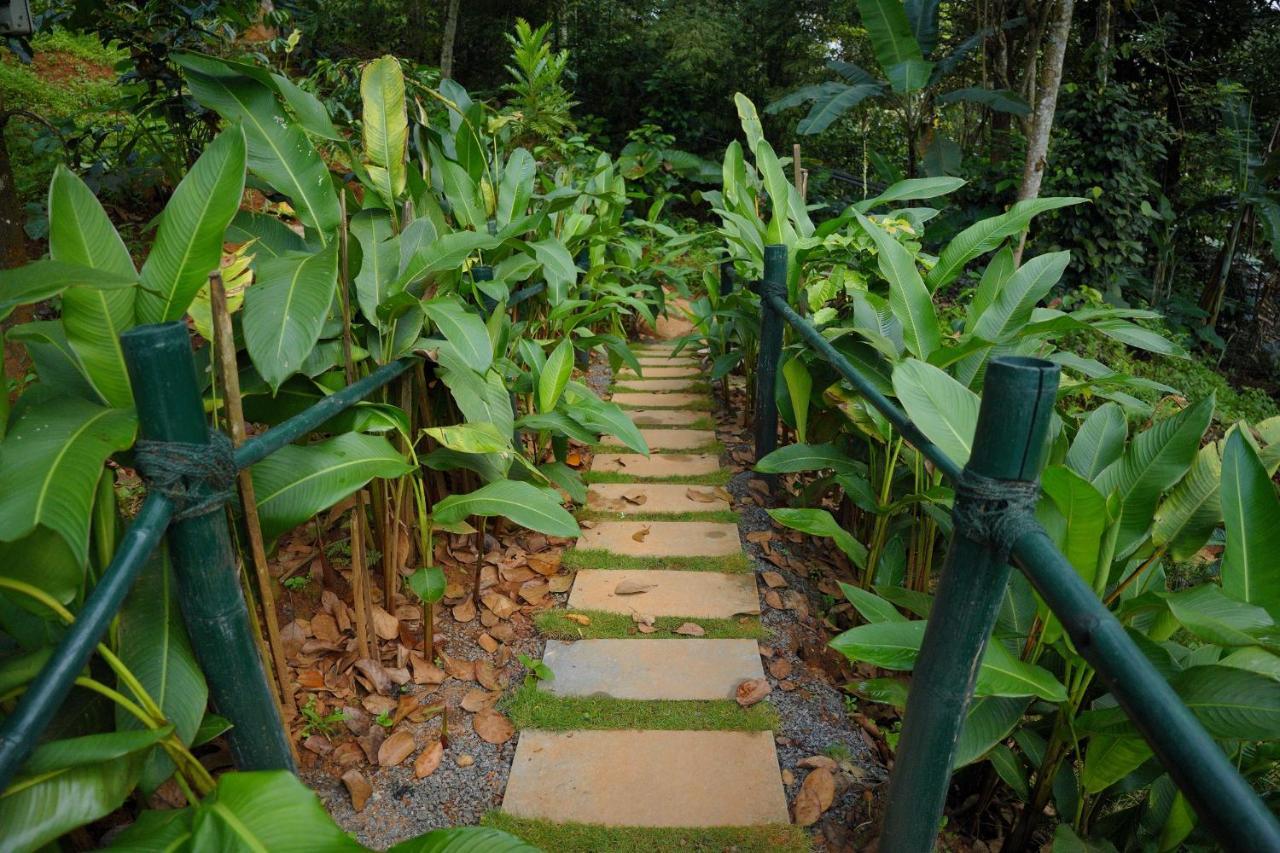 Ananterra Resort Wayanad Exterior photo